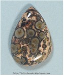 Leopardskin Jasper