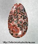 Leopardskin Jasper Cabochon