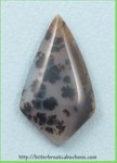 Montana Agate Montana Agate