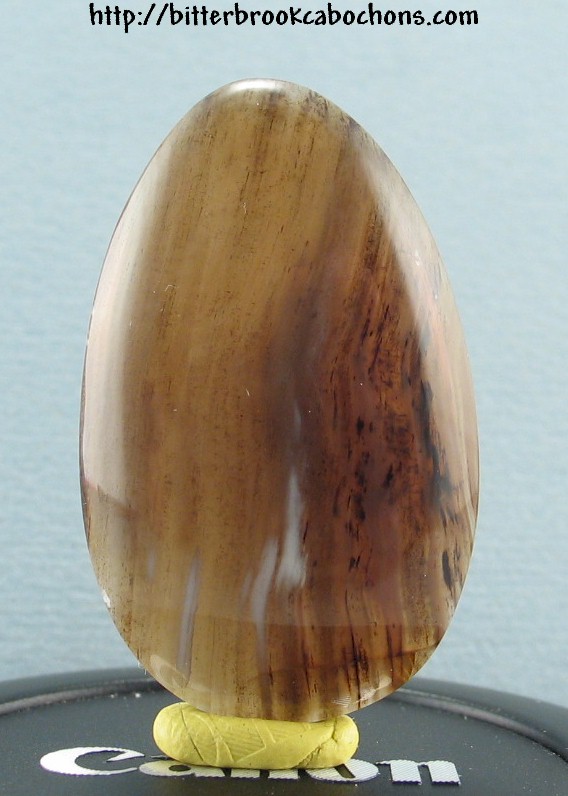 Montana Agate