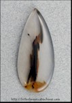 Montana Agate Montana Agate