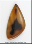 Montana Agate