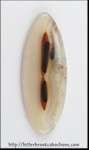 Montana Agate Montana Agate