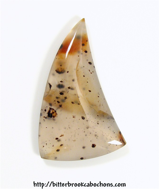 Montana Agate