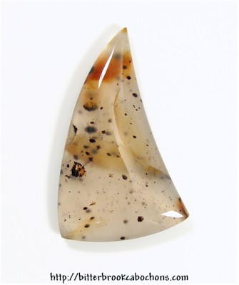 Montana Agate