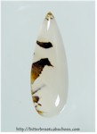 Montana Agate Montana Agate