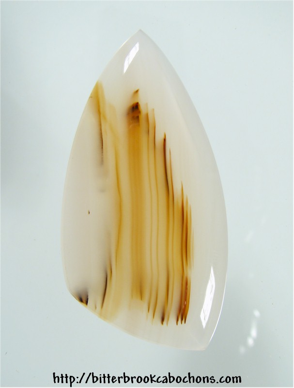 Montana Agate Cabochon