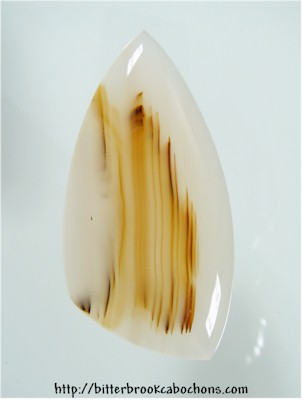 Montana Agate Cabochon