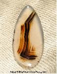 Montana Agate Cabochon