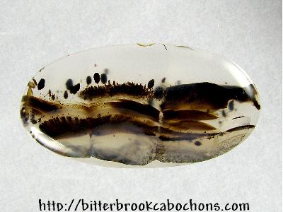 Montana Agate Cabochon