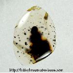 Montana Agate Cabochon