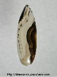 Montana Agate Cabochon