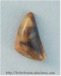 Morrisonite Morrisonite