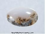 Moss Agate Cabochon