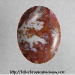 Moss Agate Cabochon