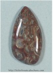 Mushroom Jasper