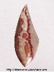 Nevada Rhyolite Cabochon Nevada Rhyolite Cabochon