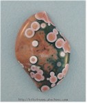 Ocean Jasper