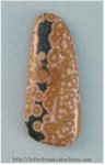 Ocean Jasper Ocean Jasper