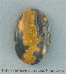 Ocean Jasper