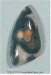 Ocean Jasper