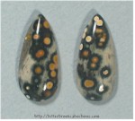 Ocean Jasper Pair