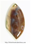 Ocean Jasper