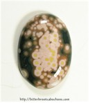 Ocean Jasper