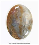 Ocean Jasper