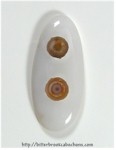 Ocean Jasper Ocean Jasper