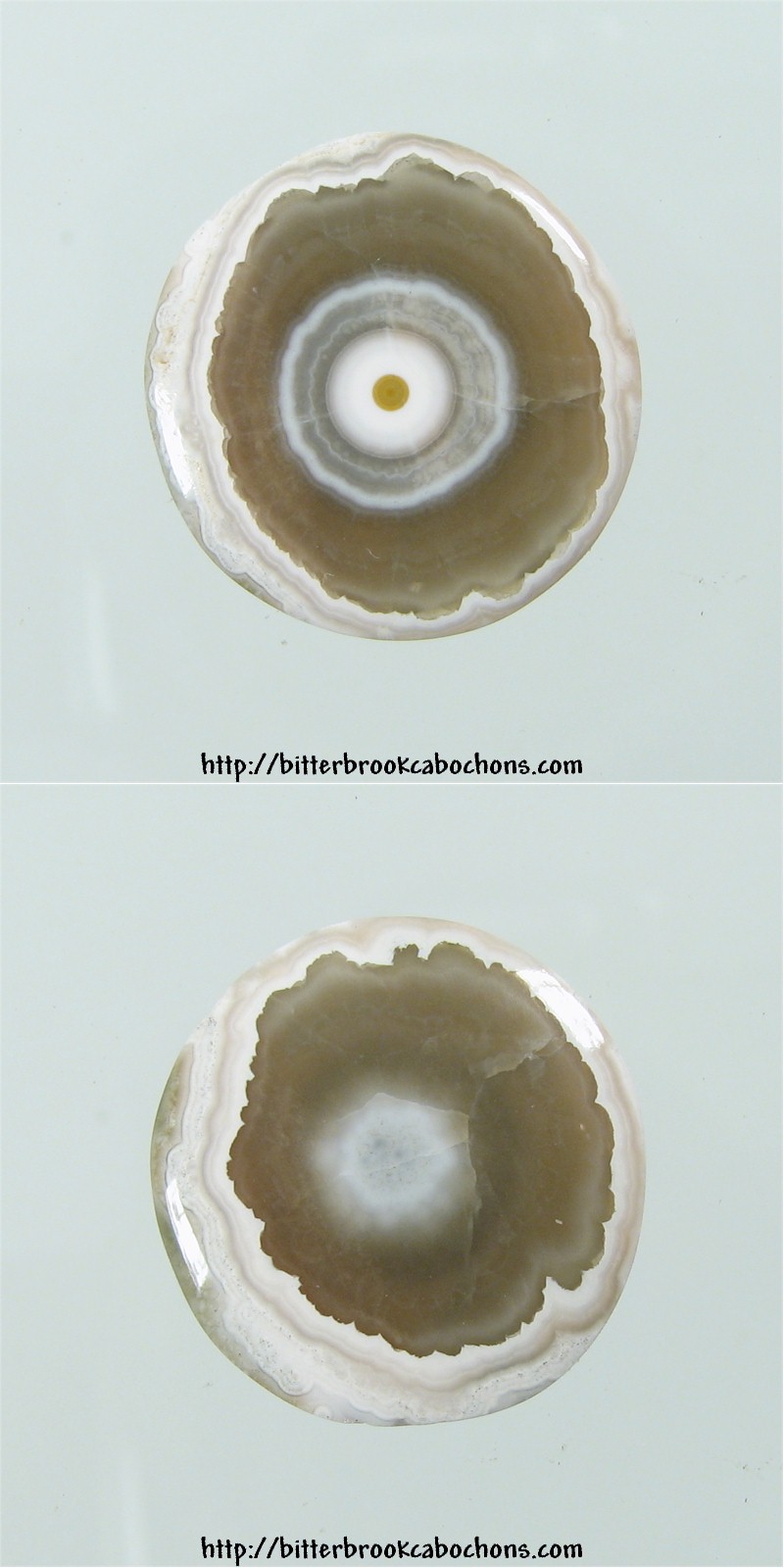 Ocean Jasper