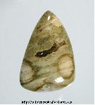 Ocean Jasper Cabochon