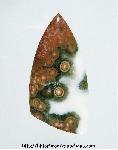 Ocean Jasper Ocean Jasper