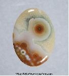 Ocean Jasper Cabochon