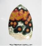 Ocean Jasper Cabochon