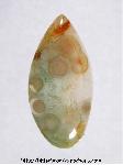 Ocean Jasper Cabochon