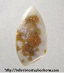 Ocean Jasper Cabochon