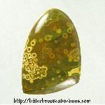 Ocean Jasper Cabochon