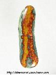 Ocean Jasper Cabochon Ocean Jasper Cabochon