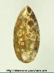 Ocean Jasper Cabochon Ocean Jasper Cabochon