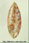 Ocean Jasper Cabochon Ocean Jasper Cabochon