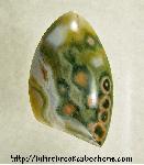 Ocean Jasper Cabochon