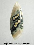 Ocean Jasper Cabochon