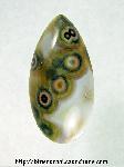 Ocean Jasper Cabochon