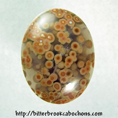 Ocean Jasper Cabochon