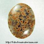 Ocean Jasper Cabochon