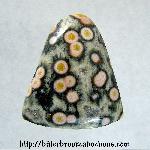 Ocean Jasper Cabochon