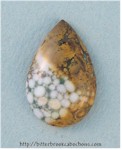 Jasper Jasper