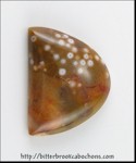 Orbicular Jasper