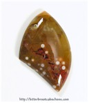 Orbicular Jasper